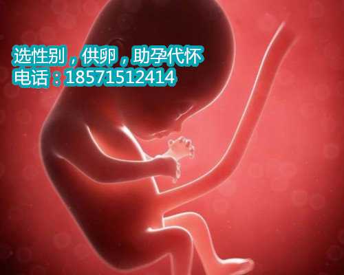 13号染色体异常的危害大吗？专家：容易引发上海助孕包成功65万畸形