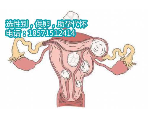 试管婴儿上海供卵助孕试管中心移植后能吃酸辣粉吗？会不会影响着床？