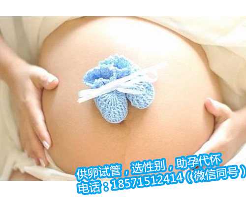 怎样才能怀上女上海助孕公司费用怎么算？