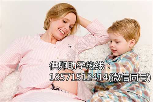 上海供卵助孕成功率做基因检测需要多少钱?