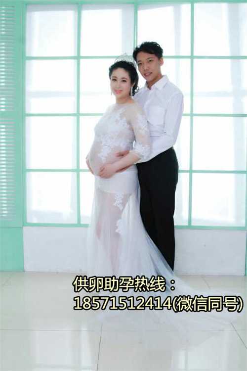 广州第一人民医院做试管上海助孕公司可靠吗